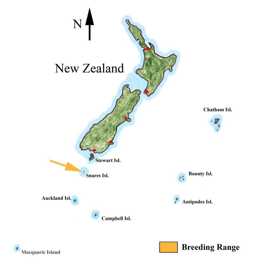 Kart over new zealand og omkringliggende øyer